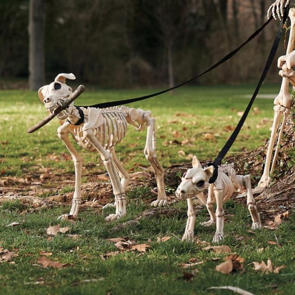 Grandin Road Shadow the Skeleton Dog on Leash large - Picture 9 of 9